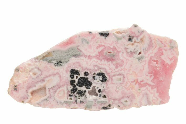 Rhodochrosite Stalactite Slice with Pyrite & Galena - Argentina #217383